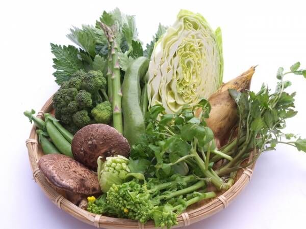 栄養価もアップ！おすすめの春野菜5選