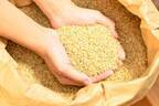 「全粒穀物」が糖尿病リスクを低下！？ポイントは主食から摂る食物繊維
