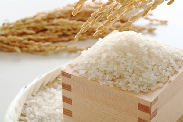 お米は太る？改めて見直したい「米」の魅力と品種ごとのおいしい食べ方