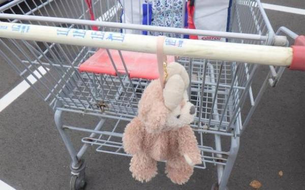 子連れコストコを攻略！スムーズに買い物できるテクニック