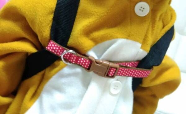 意外な100均グッズが超便利 子どものリュックがずれ落ちる を解決 19年5月6日 ウーマンエキサイト 1 2