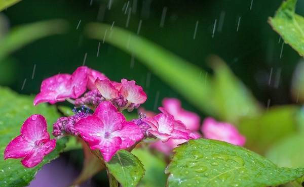 梅雨シーズン到来！ 私は雨の日の育児をこう乗り切った！【体験談】