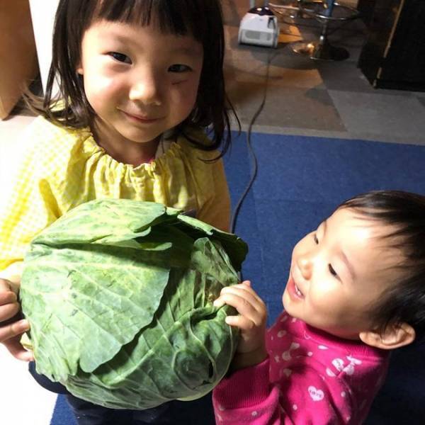 手取り20万円で子ども6人！「人生オモロイ！」生き方【大家族山口家】