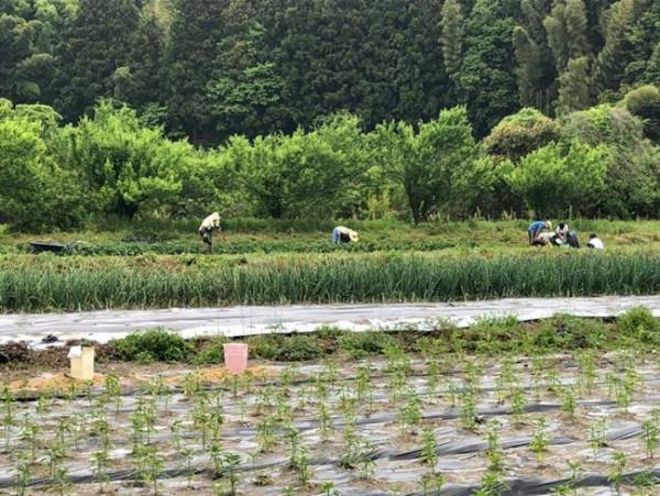 手取り20万円で子ども6人！「人生オモロイ！」生き方【大家族山口家】