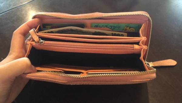 手取り20万円で8人暮らし！貯金0家計簿大公開【大家族山口家】