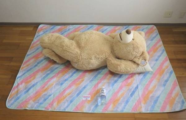 もっと早く買っておけばよかった！コストコの「レジャーマット」が優秀！