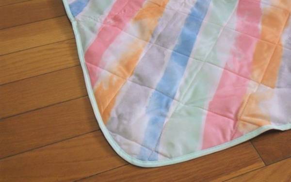 もっと早く買っておけばよかった！コストコの「レジャーマット」が優秀！