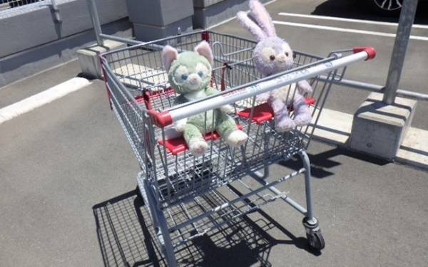 【コストコ】ママ友とコストコへ行こう♪ メリットと注意点って？