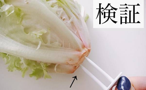 【セリア】人気の「野菜フレッシュキーパー」で鮮度の長持ちを検証！