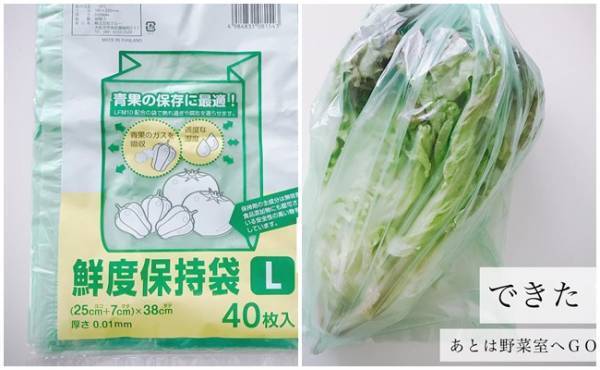 【セリア】人気の「野菜フレッシュキーパー」で鮮度の長持ちを検証！