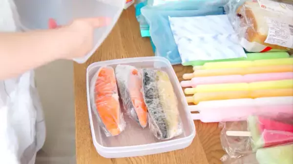 【100均】冷凍庫内は「仕切る」＆「立てる」が正解◎【冷蔵庫収納】