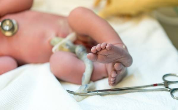 意外と知らない！？ 「へその緒」ってどんな働きをするの？