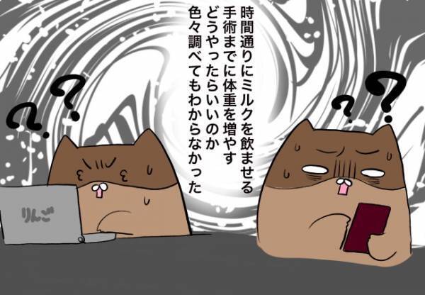 つらい。だれも助けてくれない…【口唇口蓋裂ちゃん、育ててます46】