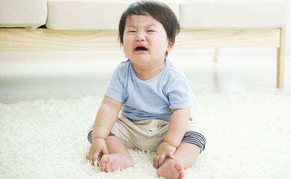 イヤイヤ期、自動車にハマった息子と徹底的に付き合った！【体験談】