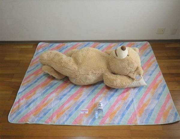 つい欲しくなる♡コストコ巨大クマのぬいぐるみ、購入したところ…？！