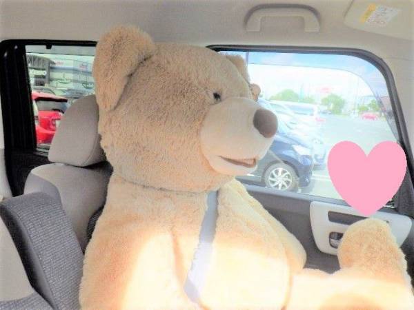 つい欲しくなる♡コストコ巨大クマのぬいぐるみ、購入したところ…？！