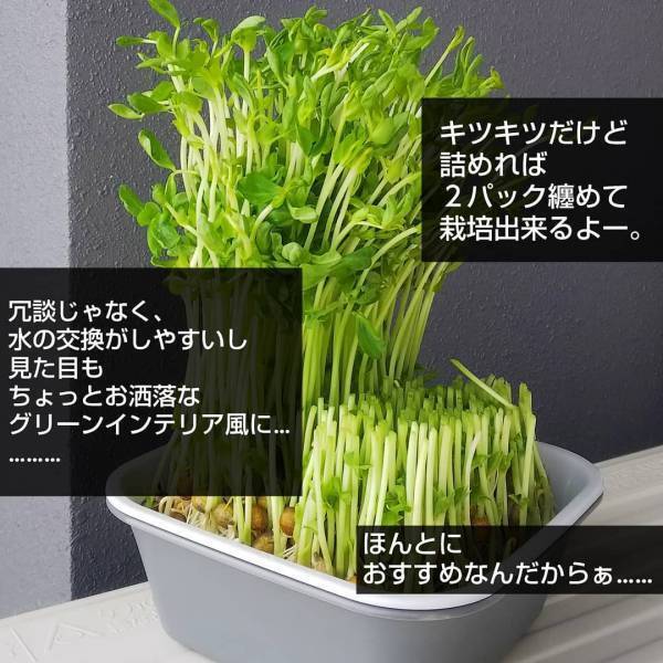 【セリア】超便利！スクエア型ザル＆バットの意外な使い方とは？