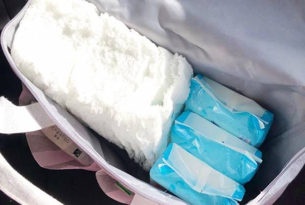 【ダイソー】ピクニックバッグがおむつ収納に便利すぎる！