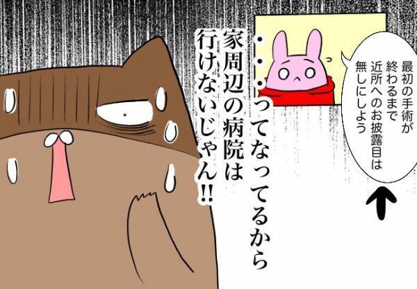 どこの病院に行けばいいの？決断。【口唇口蓋裂ちゃん、育ててます52】