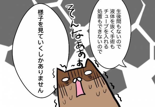 口の障害だけじゃなく耳も難聴？！【口唇口蓋裂ちゃん、育ててます53】