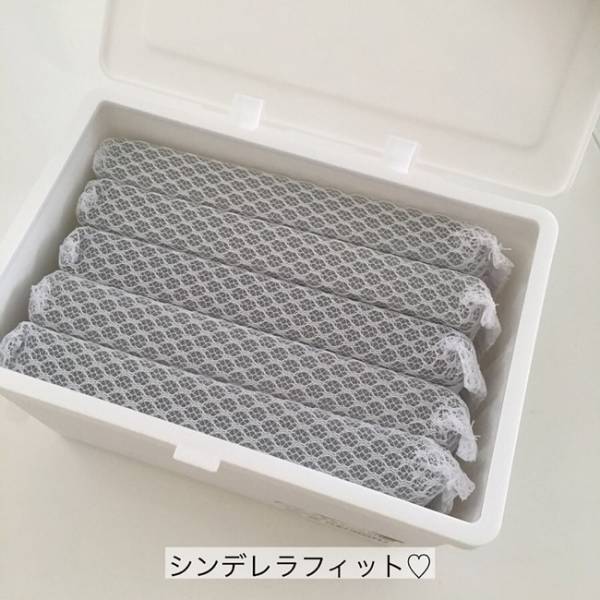 奇跡のシンデレラフィット！セリアのフタつきケースにぴったりグッズ5選