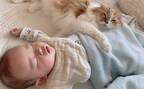 もう、めっちゃ仲良し♡ 猫と赤ちゃんの毎日が超絶かわいくて癒される！
