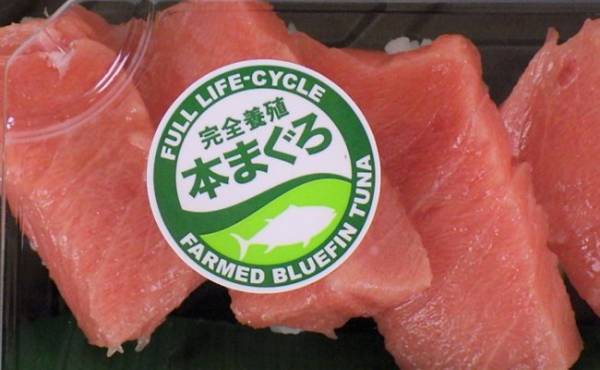 豪華な寿司ネタが集結！コストコの絶品特選寿司がスゴイんです！