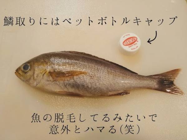 年収300万円台！5人家族で食費3万円台をキープするコツ【後編】