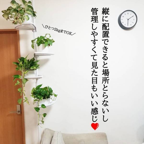 【100均】激安すぎて売り切れ続出！ダイソーのアレンジポールがすごい