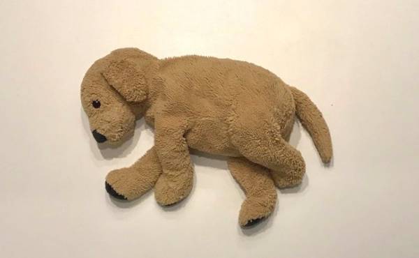 後悔！ 子どもがぬいぐるみを気に入りすぎて困っていること【体験談】