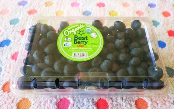 おやつやデザートに！コストコのオーガニックブルーベリーが買い♡