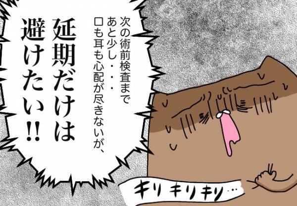 できる？！娘の術前検査【口唇口蓋裂ちゃん、育ててます62】
