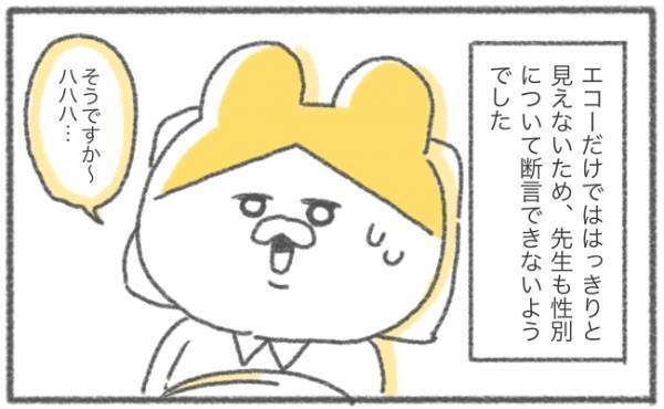 赤ちゃんの性別、事前にわかると思いきや…【ゆるギャグ育児絵日記20】
