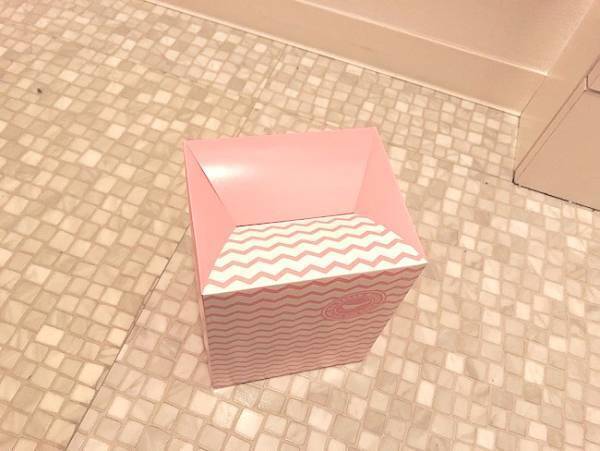 【100均】生理の時に◎使い捨てサニタリーボックスがかわいくて便利！