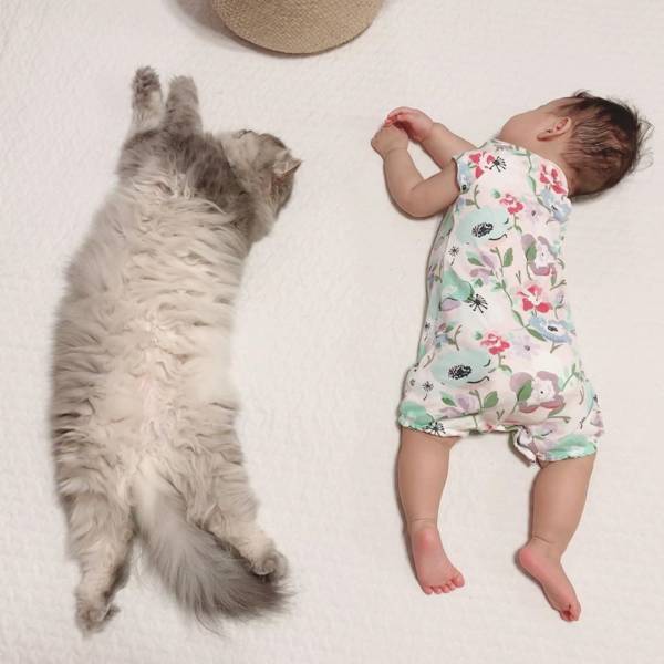 え、腕枕してる♡ 生後9カ月の赤ちゃんと見守り猫たちが超絶かわいい！