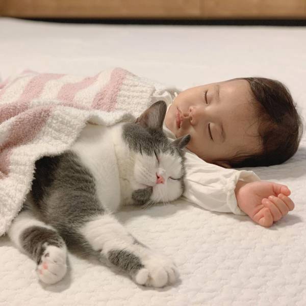 え、腕枕してる♡ 生後9カ月の赤ちゃんと見守り猫たちが超絶かわいい！