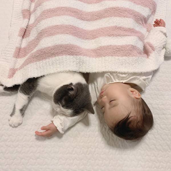 え、腕枕してる♡ 生後9カ月の赤ちゃんと見守り猫たちが超絶かわいい！
