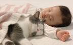 え、腕枕してる♡ 生後9カ月の赤ちゃんと見守り猫たちが超絶かわいい！