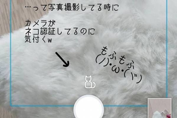 【ダイソー】ちょ、かわいい～♡絶対欲しい肌触り最高のもふもふアイテム