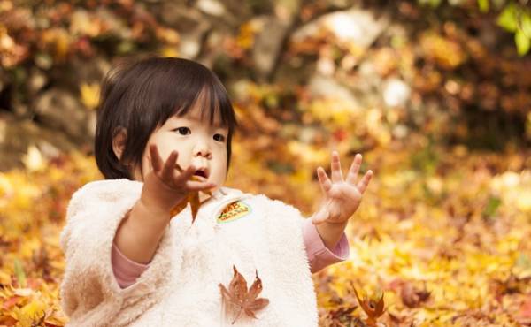 「メイプルネーム」大旋風！11月生まれの赤ちゃんの名づけトレンド