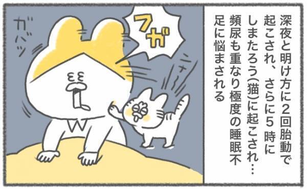 「ボコボコォッ」胎動で起こされ睡眠不足！ #キヨの妊娠記録24