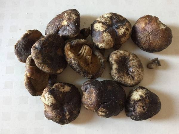 【カルディ】衝撃すぎる！！見た目も味も●●そのもの☆やみつきスナック