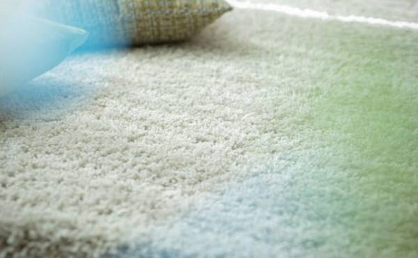 ホットカーペットの電磁波は妊婦さんにとって危険！？ 【助産師に相談】