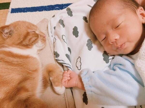 生後7カ月の赤ちゃんと猫の菊丸（♂）