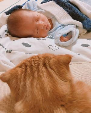 何それ、かわいい♡ 生後7カ月の赤ちゃんと猫の菊丸が仲良しすぎる！