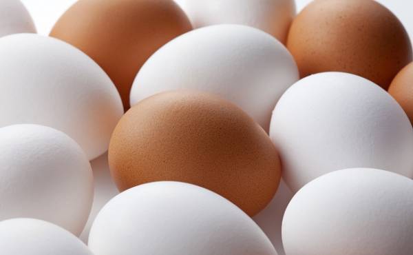 適度な「手抜き」がモットー。生後10カ月、卵アレルギーが判明して