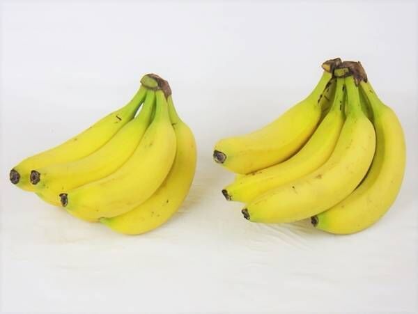 【コストコ】「オーガニックバナナ」