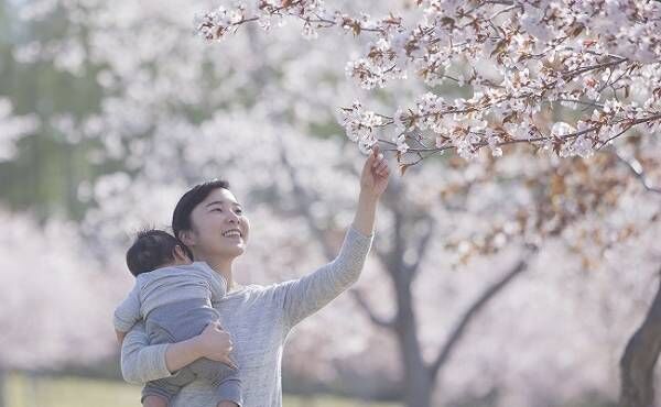 桜を見上げる親子