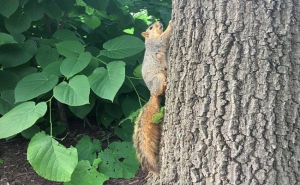 自然豊かで選択肢豊富！アメリカの遊び場事情 inミシガン【体験談】