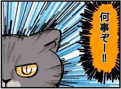 「お兄ちゃんかよｗ！」赤ちゃんが泣くたび高速ダッシュで…！？ #40